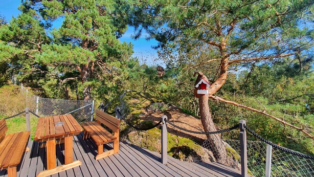 Une terrasse en bois avec des bancs et une barrière de sécurité en corde.