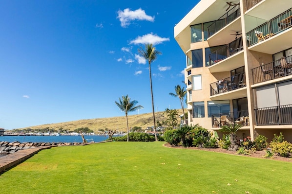 A beachfront hotel with a well-maintained lawn, palm trees, and a view of the sea. - Oceanfront Condo MIL 104 - Shearer Bliss ~ 1 bedroom/1 bath - Maalaea Harbor! (Wailuku)