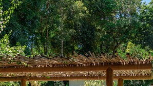 Eine Holzpergola über einem Poolbereich mit Liegestühlen und einer Bar.
