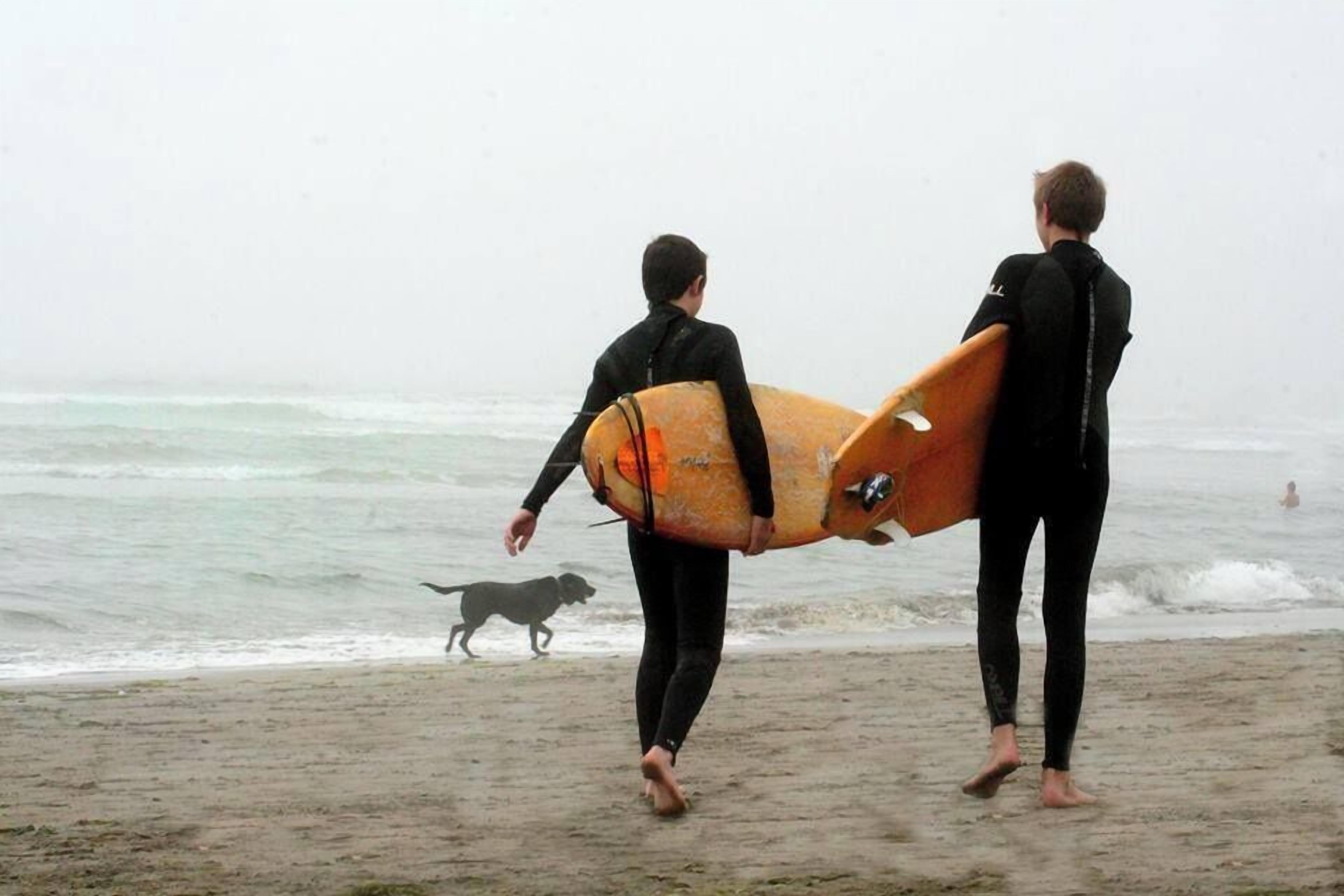 Two people carrying surfboards on a beach.
