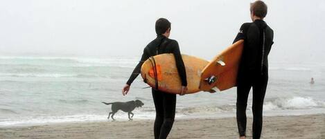 Two people carrying surfboards on a beach.
