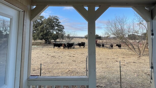 A covered porch with a view of a fenced pasture with cows.