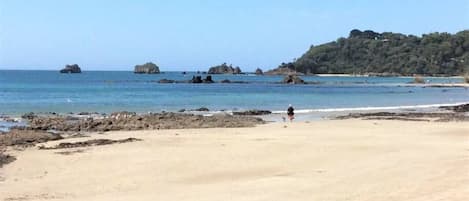 Plage à proximité