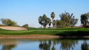 Golf - Top Rated Golf Courses 2 Bedroom Biltmore With Washer Dryer (Phoenix)