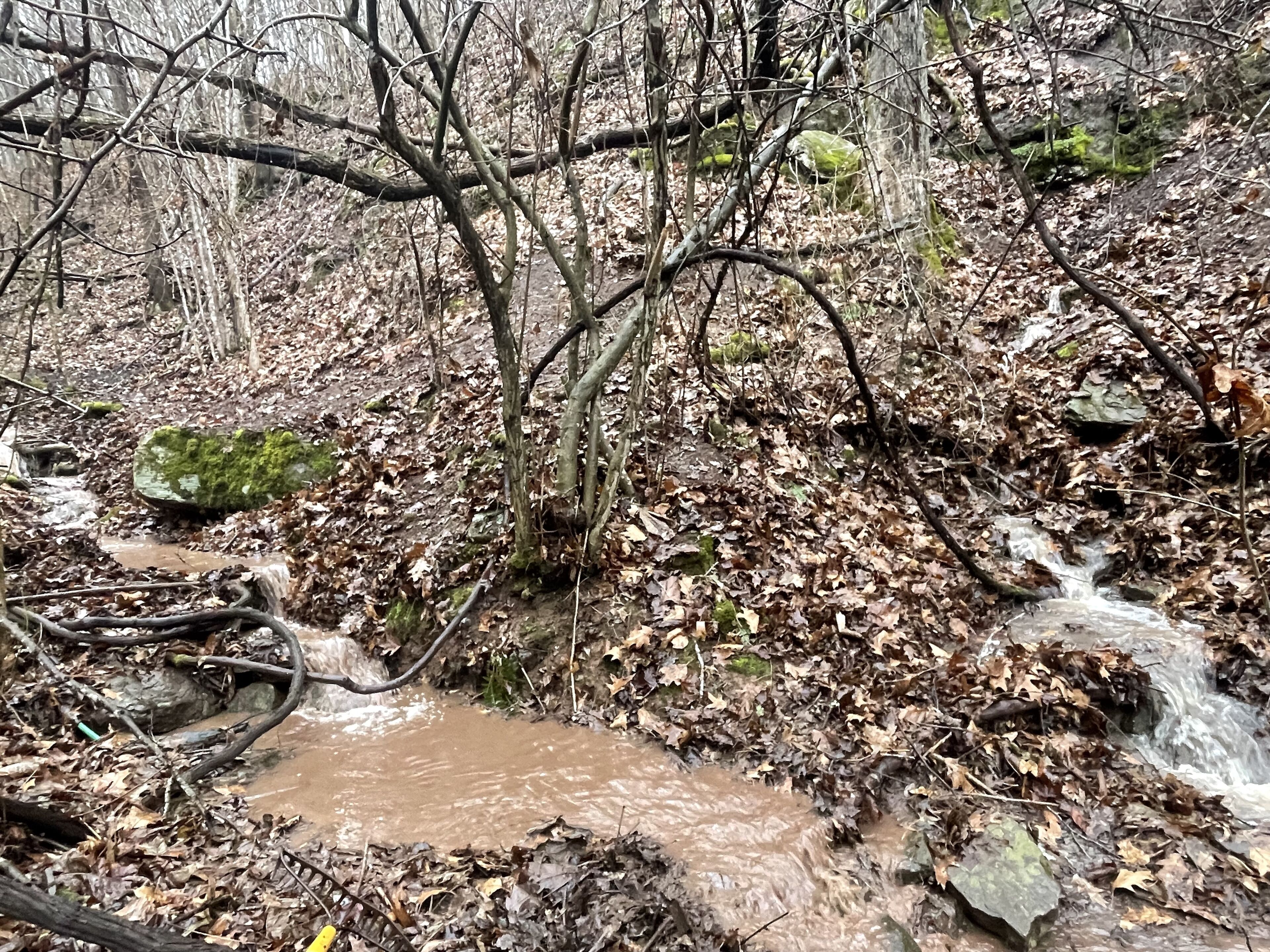 A natural outdoor setting with a small stream flowing over rocks and through a forested area.