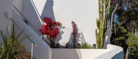 المنطقة المحيطة بالمنشأة