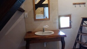 Shower, hair dryer, soap, toilet paper - Renovated farmhouse, quiet location, unobstructed view, private pool (Audrix)
