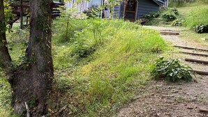 Una casa rodeada de abundante vegetación y una terraza de madera.
