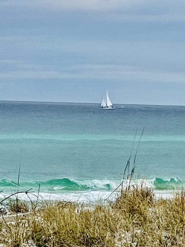 Un velero en aguas tranquilas con un horizonte despejado.