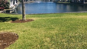 A waterfront hotel with a pool, palm trees, and a clear blue sky. - Steps to the Beach! Water-Taxi to Destin Harbor! 5 Star Property! (Destin)