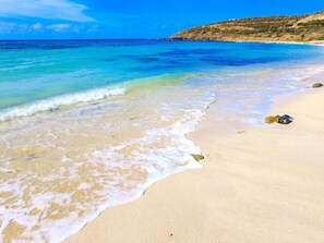 Ubicación a pie de playa, tumbonas y toallas de playa