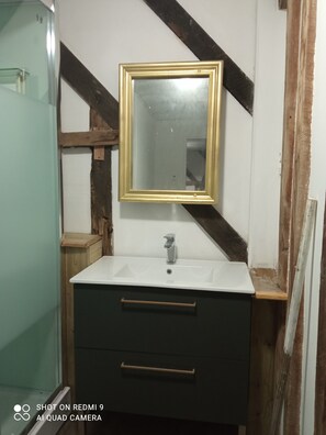 Regadera, secadora de cabello, papel de baño