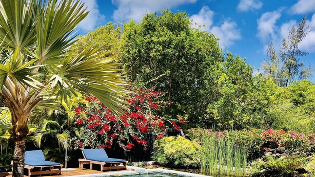 Una terraza de madera con piscina, rodeada de exuberante follaje y flores rojas.