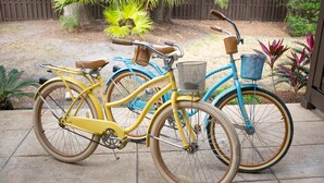 Duas bicicletas estacionadas num alpendre com cerca de madeira e plantas ao fundo.