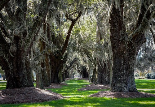 Let Coastal Comfort be yours! Near beach and village; onsite pool, free bikes!