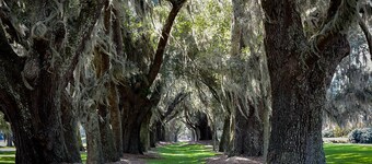 Let Coastal Comfort be yours! Near beach and village; onsite pool, free bikes!