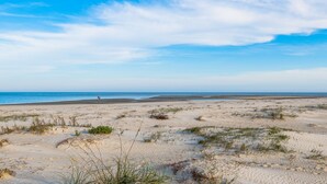 Uma praia arenosa com vegetação rasteira e um céu azul límpido.