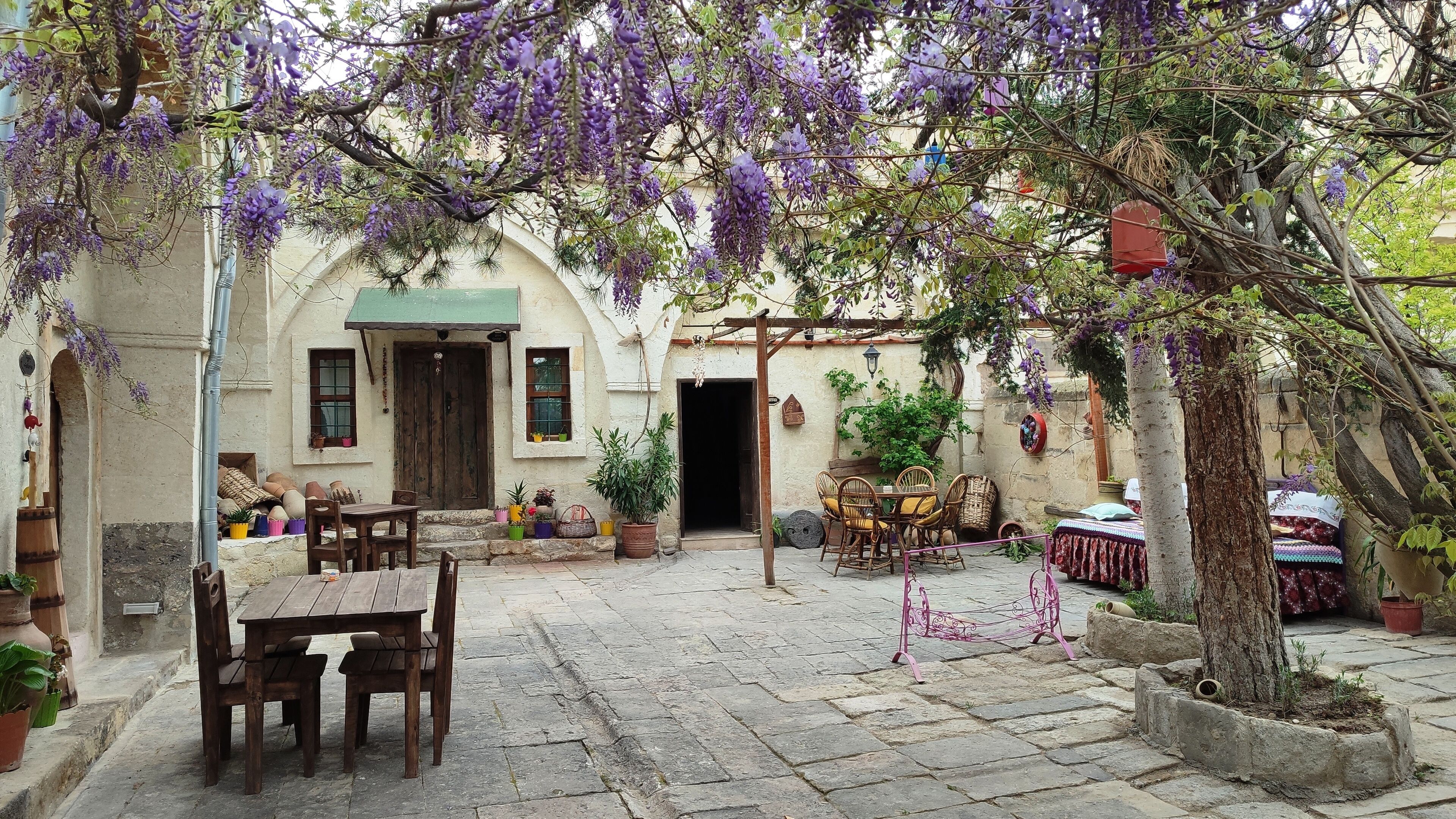 Un patio rústico con una mesa y sillas de madera, rodeado de plantas en macetas y una pérgola cubierta de flores moradas.