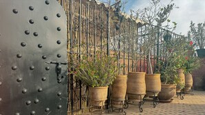 A gated entrance with a metal door, potted plants, and a tiled patio area.