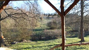 A wooden structure with a view of a grassy field and trees in the background. - Step back in time a charming 1880 historic cabin (Jonesborough)