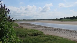 Orilla de río con arena y vegetación escasa.