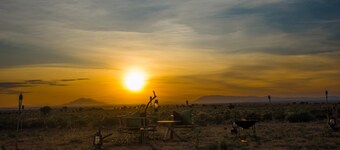 Amanya 1- Bed Pitch Tent