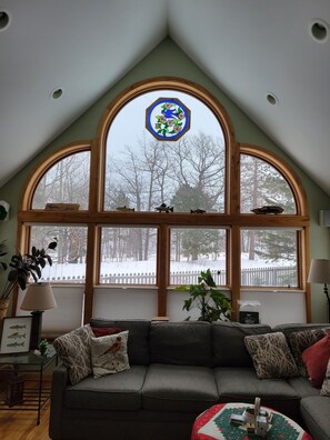 Smart TV, fireplace, books