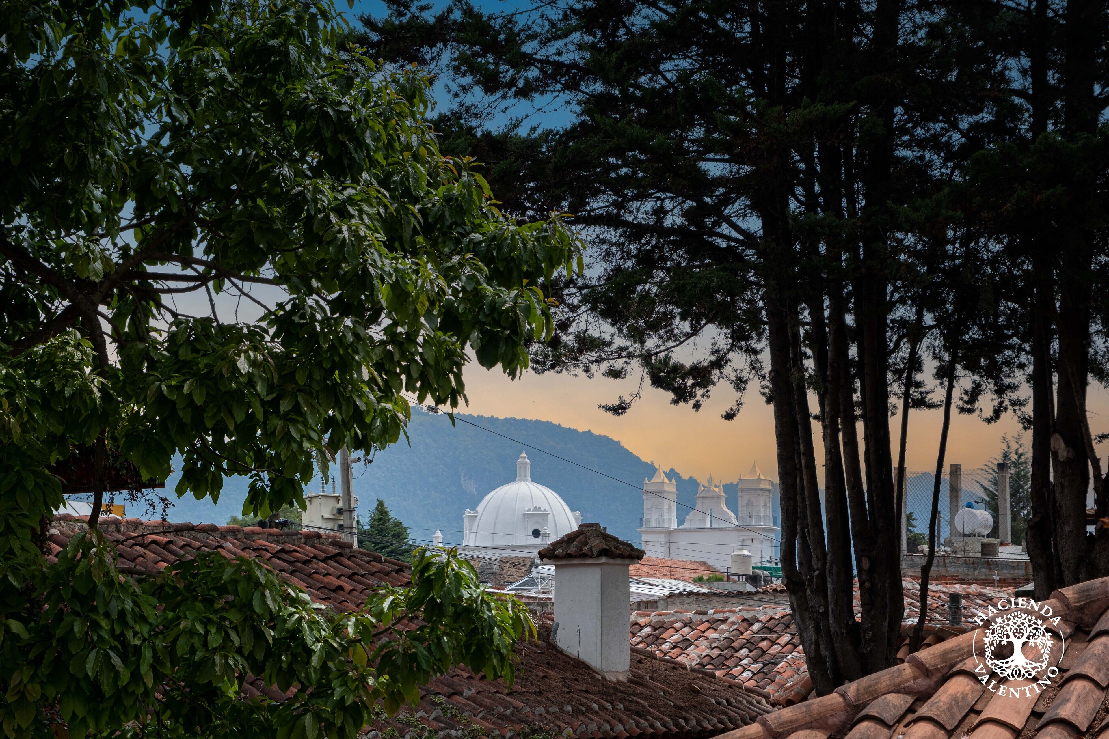 Foto - Hacienda Valentino