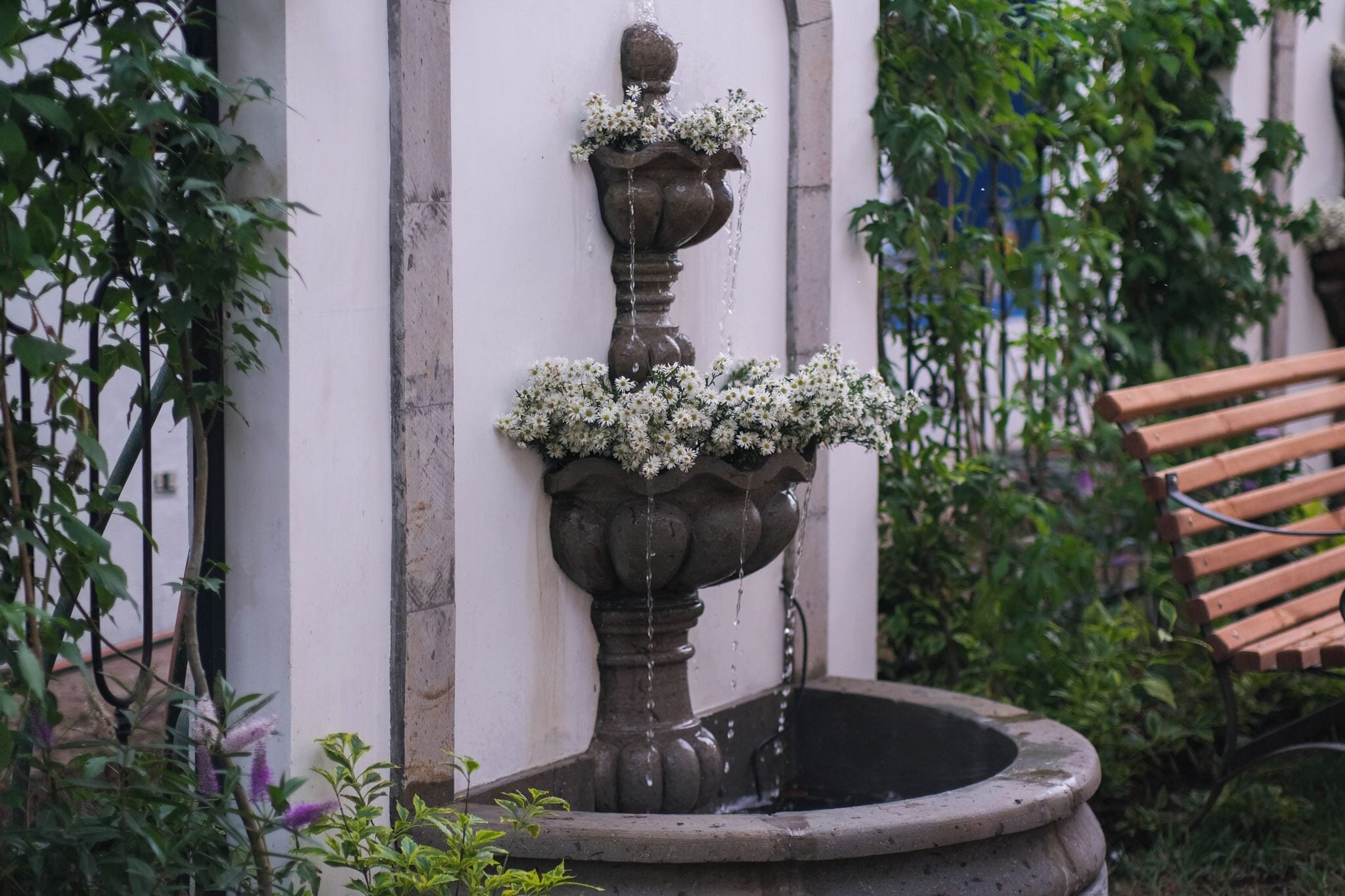 Foto - Hacienda Valentino