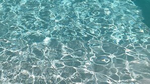 Una piscina cristallina con una zona relax vetrata.