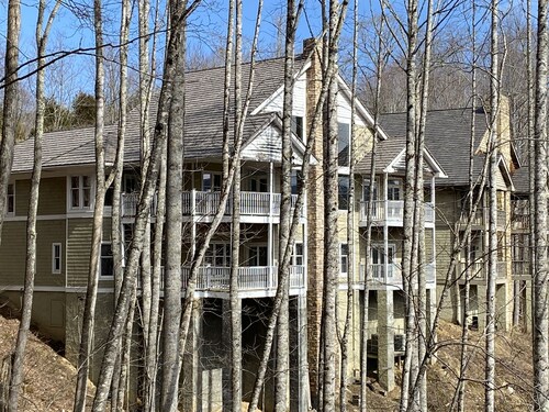 Newly Renovated Mtn Retreat in Elk River Community- 5 mins to downtown BannerElk