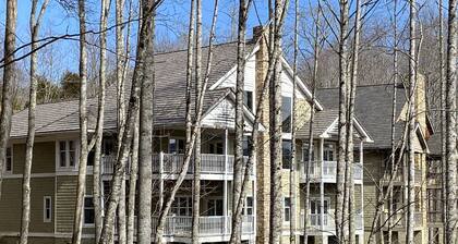 Newly Renovated Mtn Retreat in Elk River Community- 5 mins to downtown BannerElk