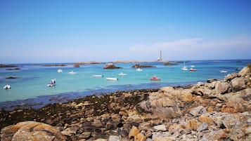 在海灘附近