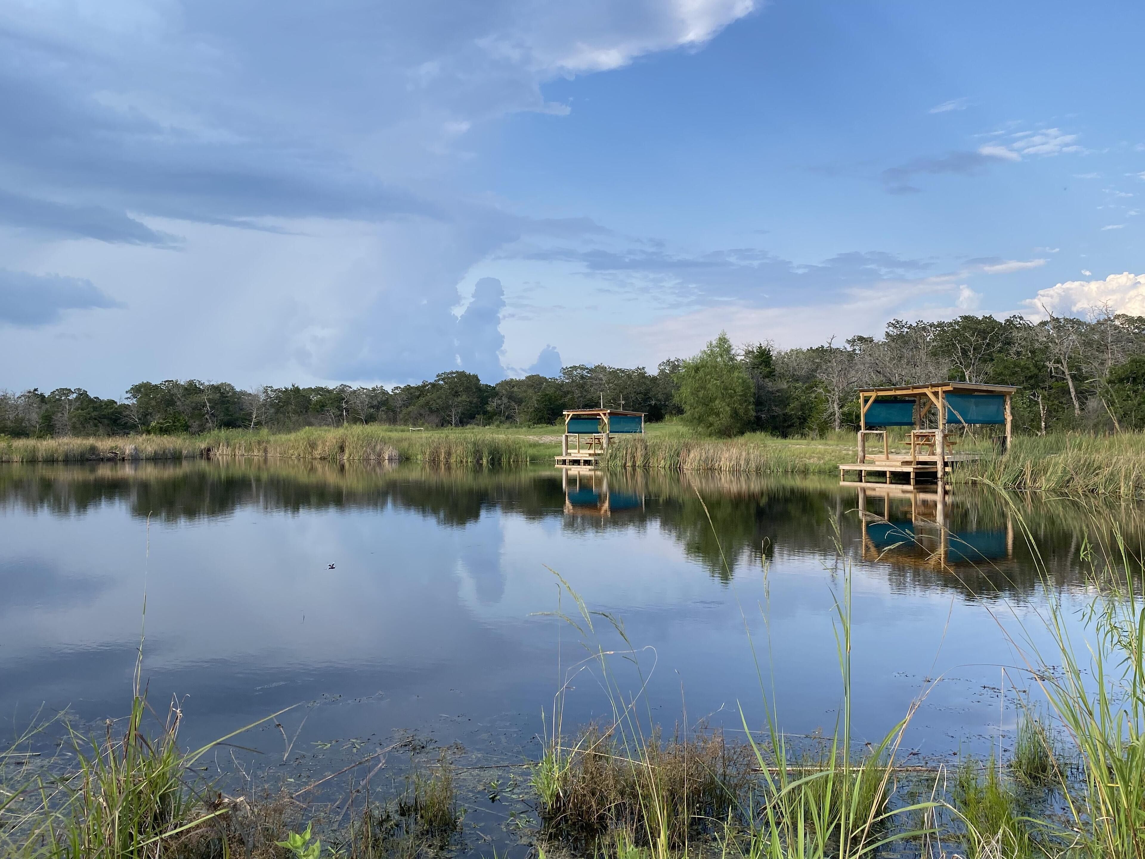 Un cadre paisible au bord d’un lac, avec deux cabanes en bois, entourées d’une végétation luxuriante et d’arbres, dont le reflet se mire sur les eaux calmes.