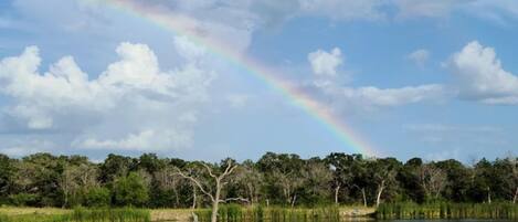 A lake with a rainbow, surrounded by trees and vegetation.