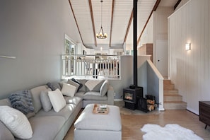 TV, fireplace, ping pong
