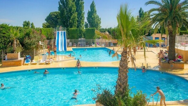 Une grande piscine extérieure dotée de plusieurs couloirs de nage, de palmiers et de chaises longues.