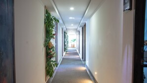 A hallway with a carpeted floor, white walls, and a plant on the left. - Hotel Velero (Rionegro)