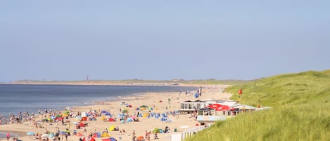 Playa en los alrededores