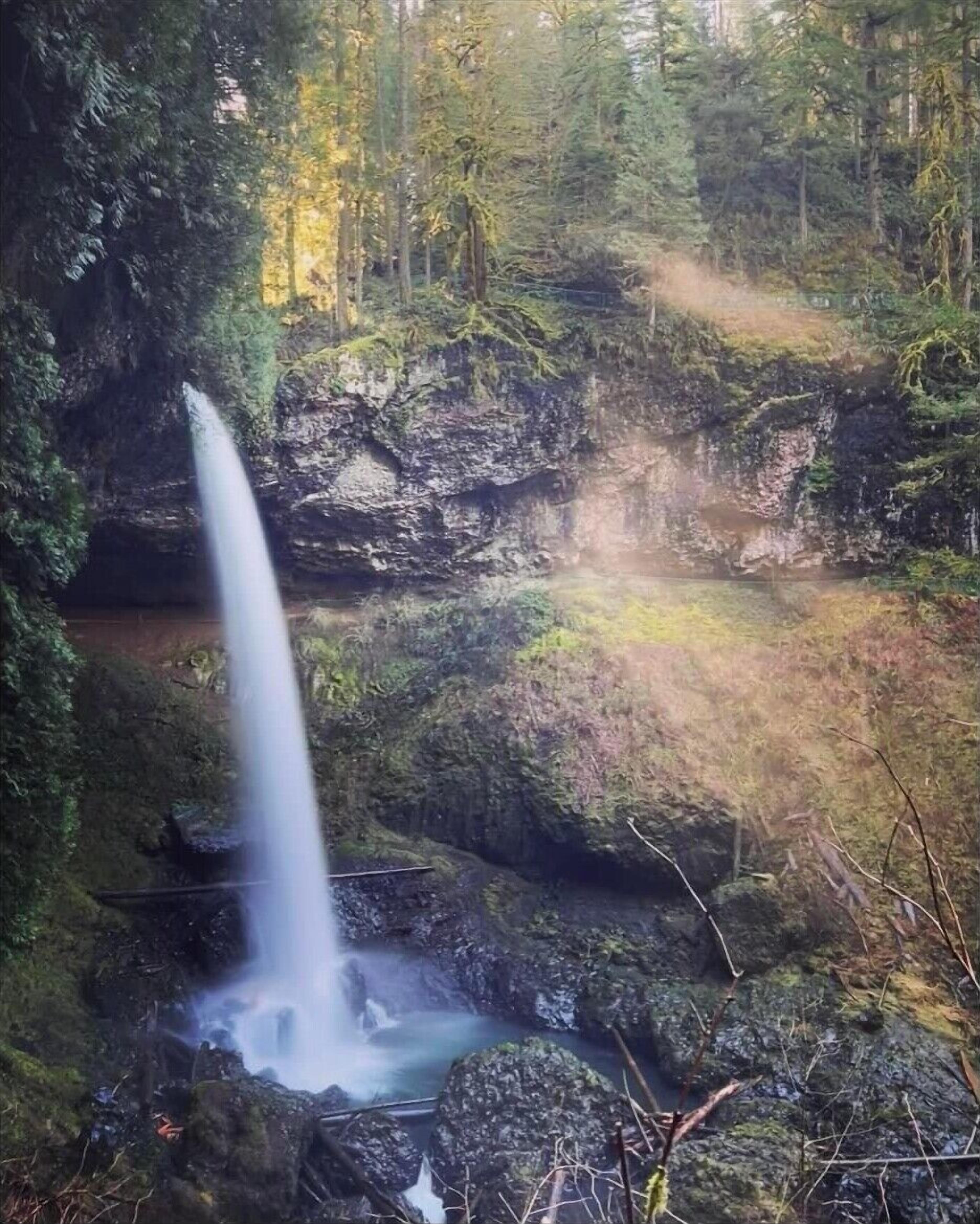 Una cascada que fluye sobre rocas en un área boscosa.