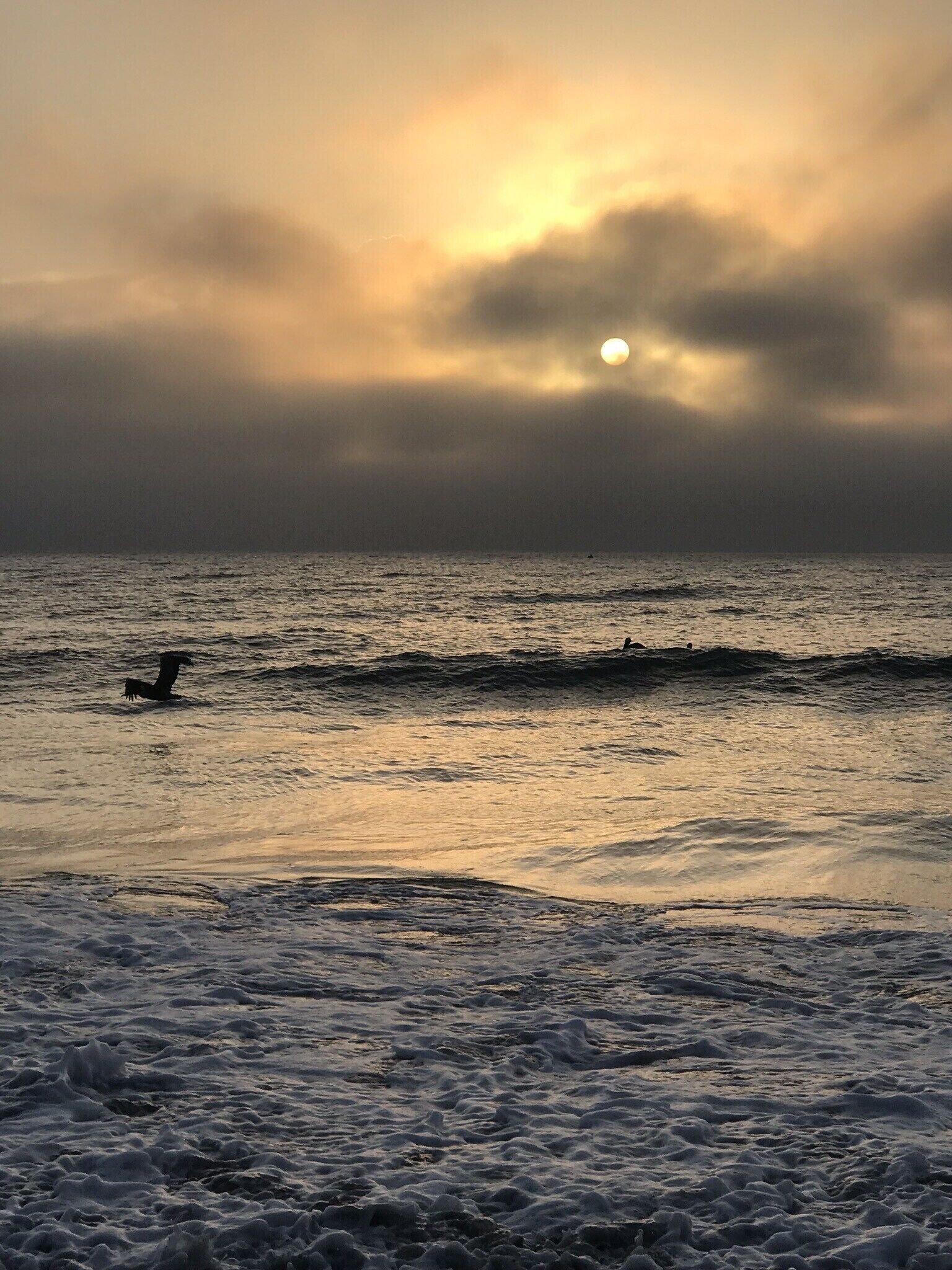 Beachside condo! One block from the beach.  Walk to the pier, park and more fun!