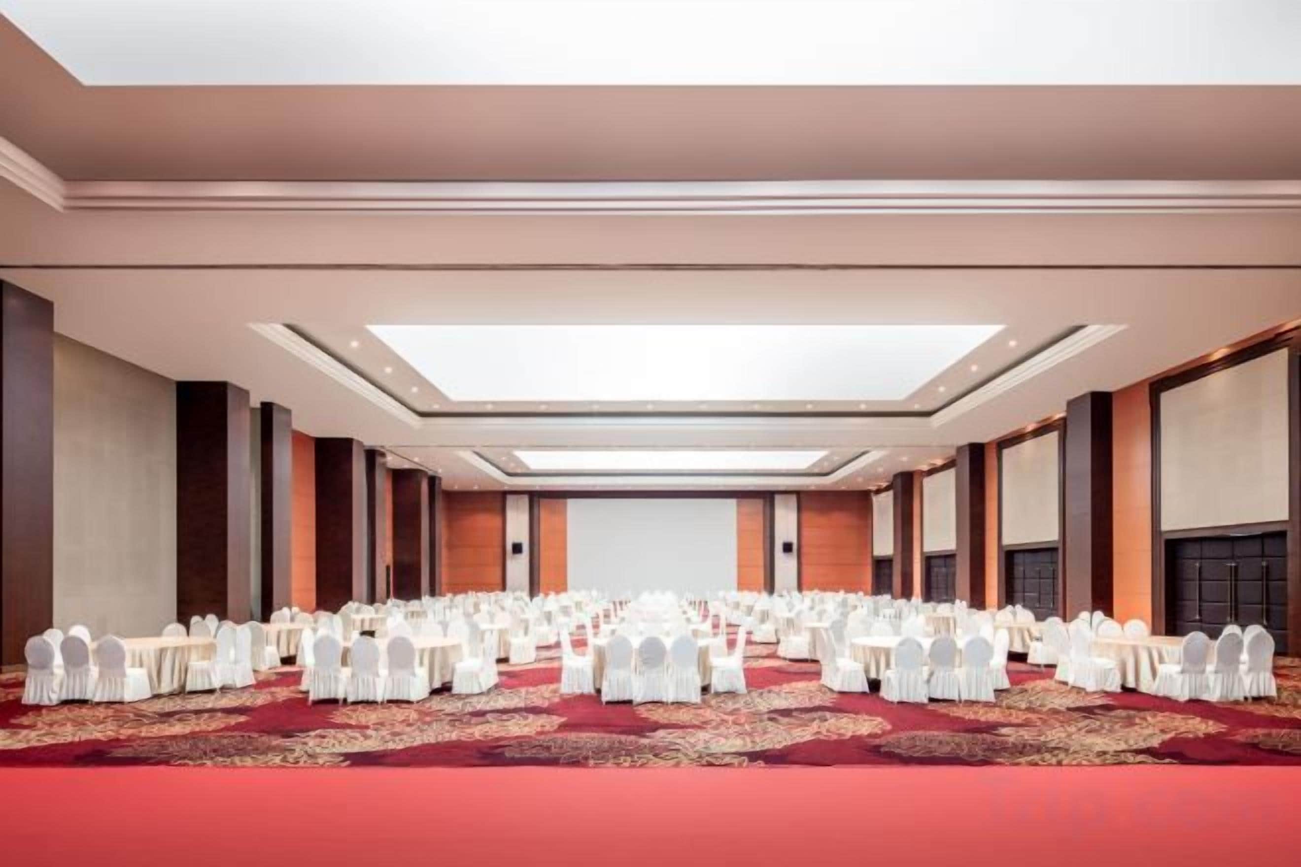 A conference room with rows of white chairs, a red carpet, and a large screen at the front.