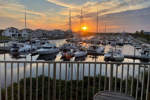 A marina with multiple boats docked, a sunset in the background, and residential buildings in the distance.