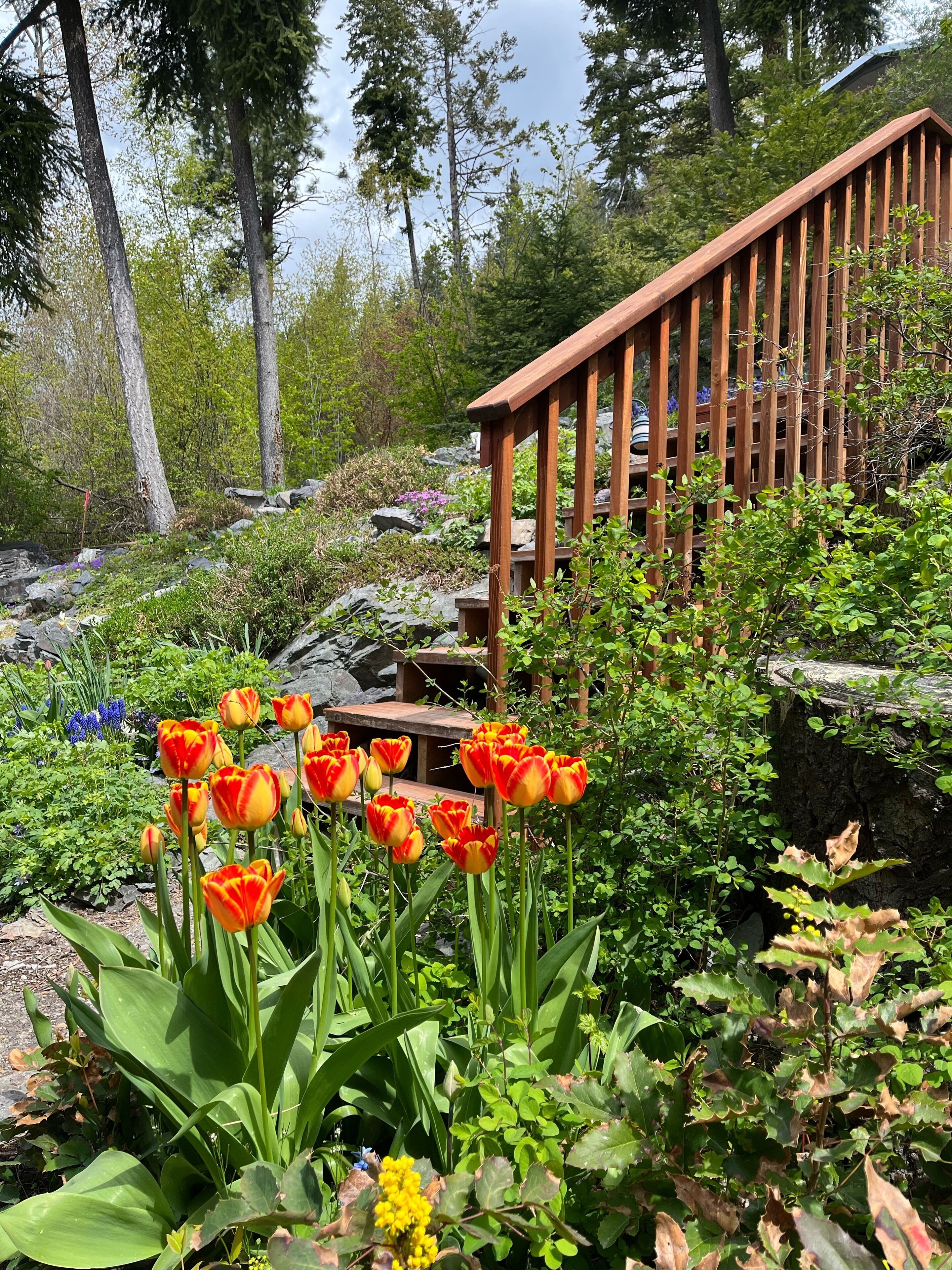 Overnattingsstedets uteområder