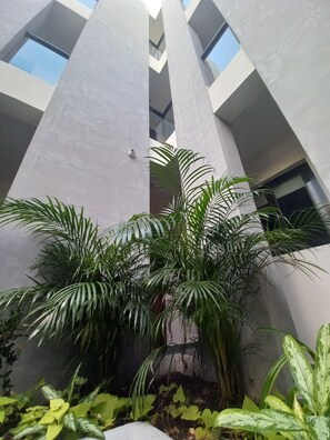 Exterior detail - Habitaciones cómodas, modernas y limpias en Paseo de Montejo. (MERIDA MERIDA)