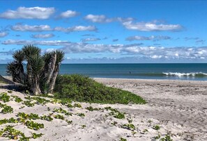 Nära stranden