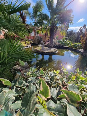 Stroll through a serene garden featuring a central pond, lush greenery, and a variety of plants, including large-leafed and smaller shrubs.