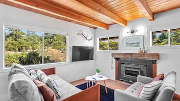 Smart TV y chimenea