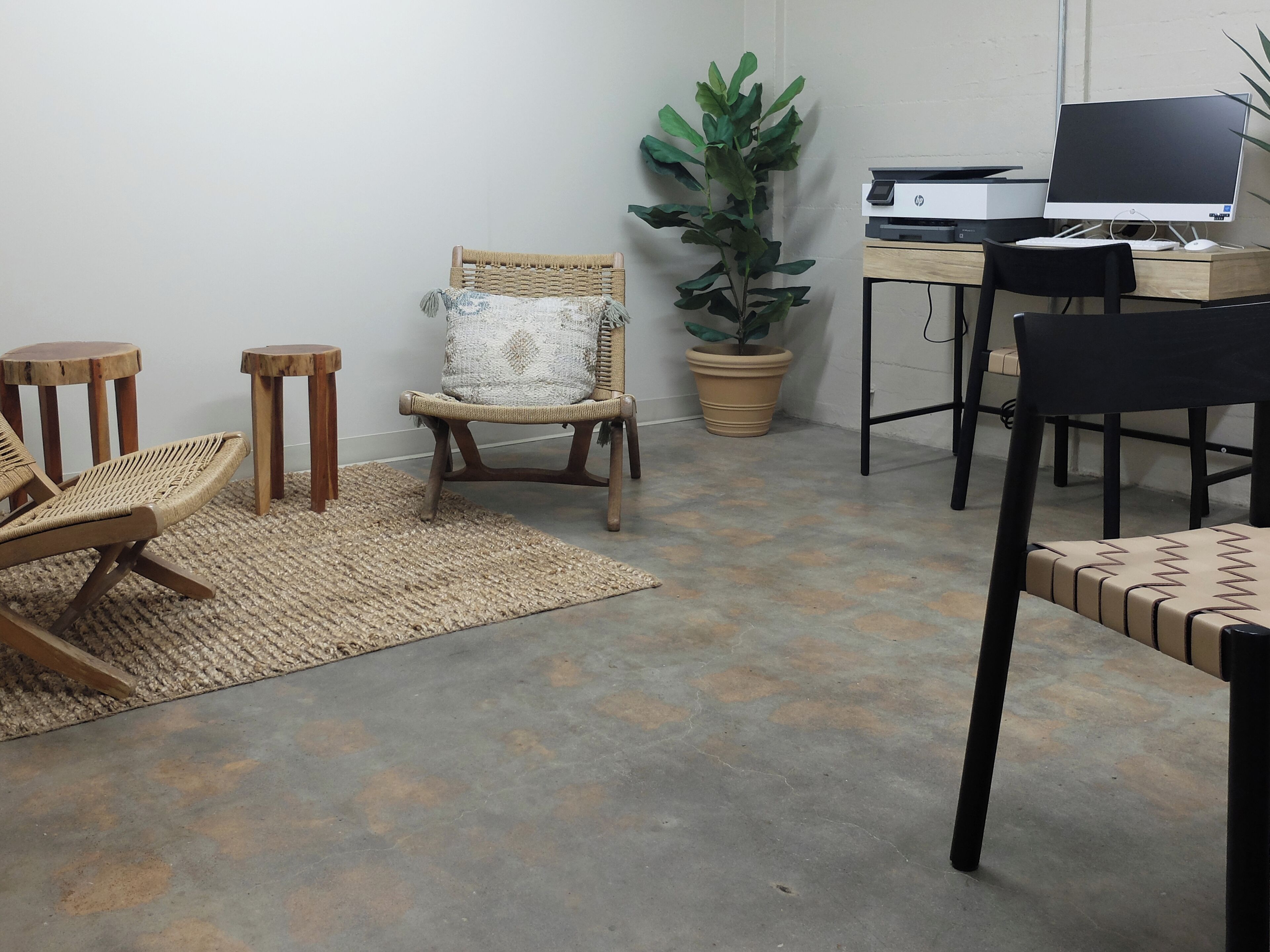 Una habitación con un escritorio, dos sillas, una planta grande en maceta y una alfombra tejida.