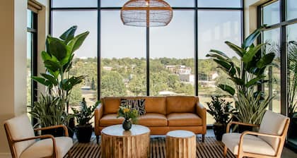 Brut Hotel